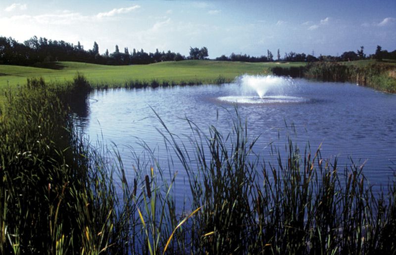 Golfové ihrisko s rybníkom a fontánou, obklopené trávou a stromami.