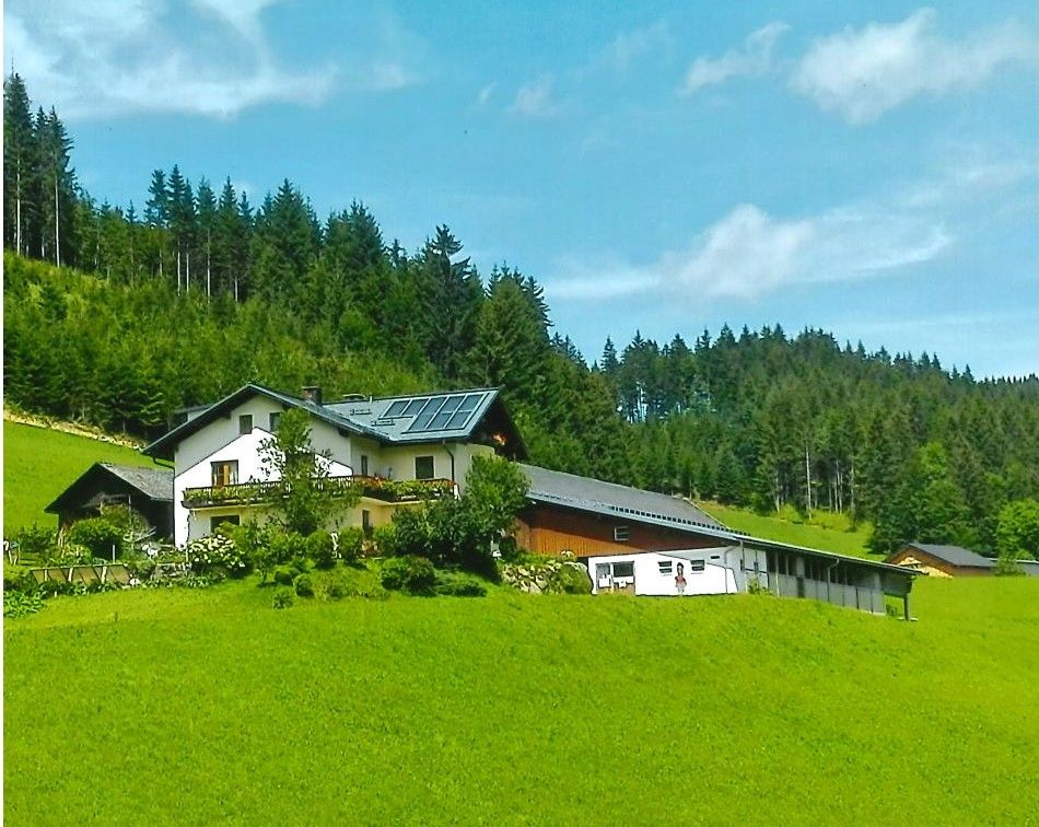 Farma Seppenbauer v lete