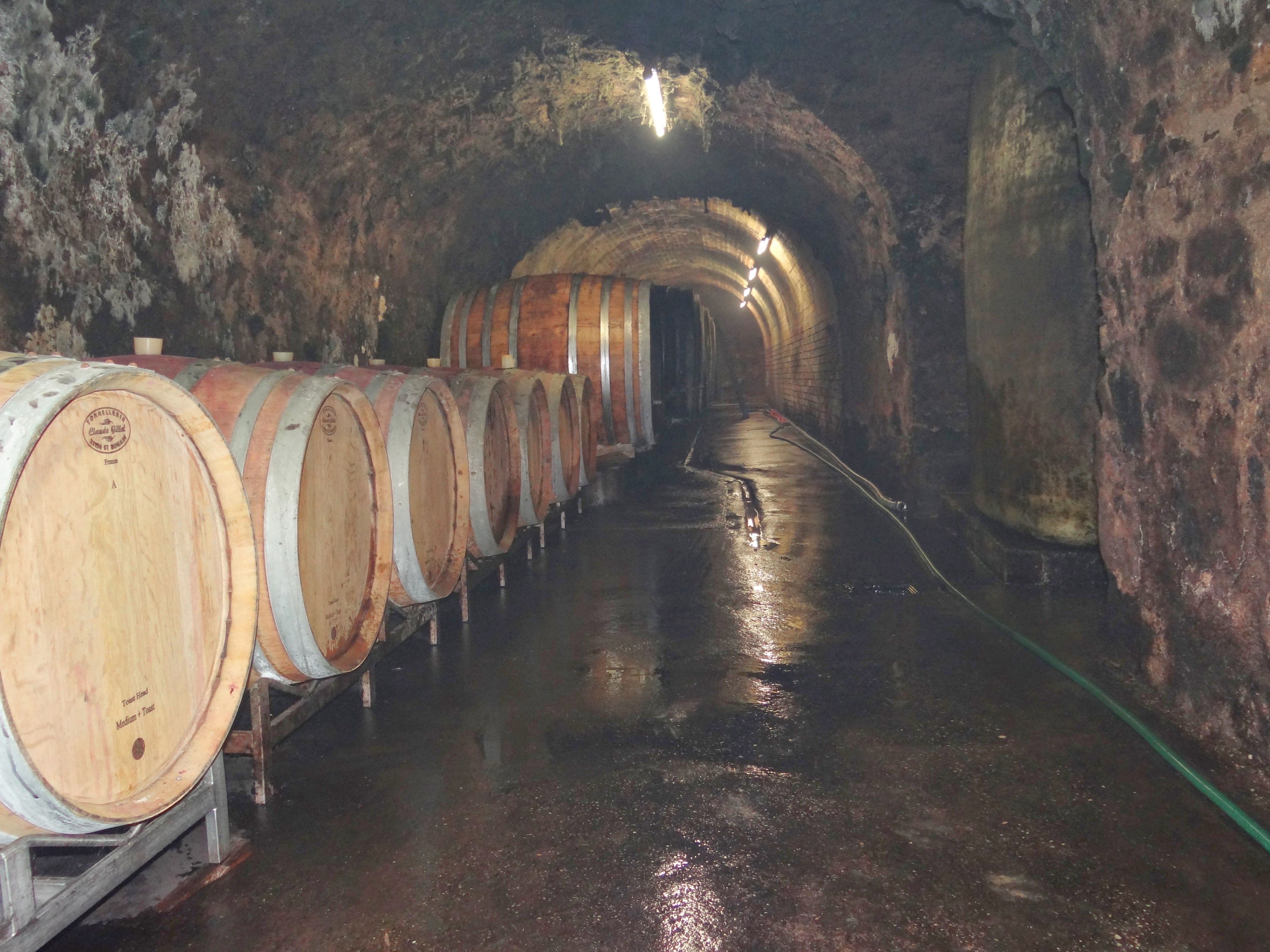 Klenutá pivnica červené víno