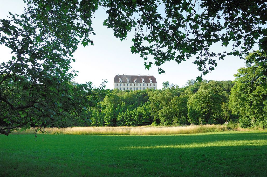 Hrad Stetteldorf za stromami a lúkou.