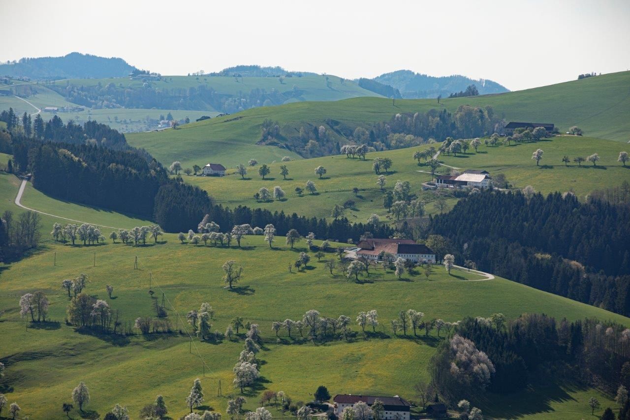 Fotografický bod Mostviertel
