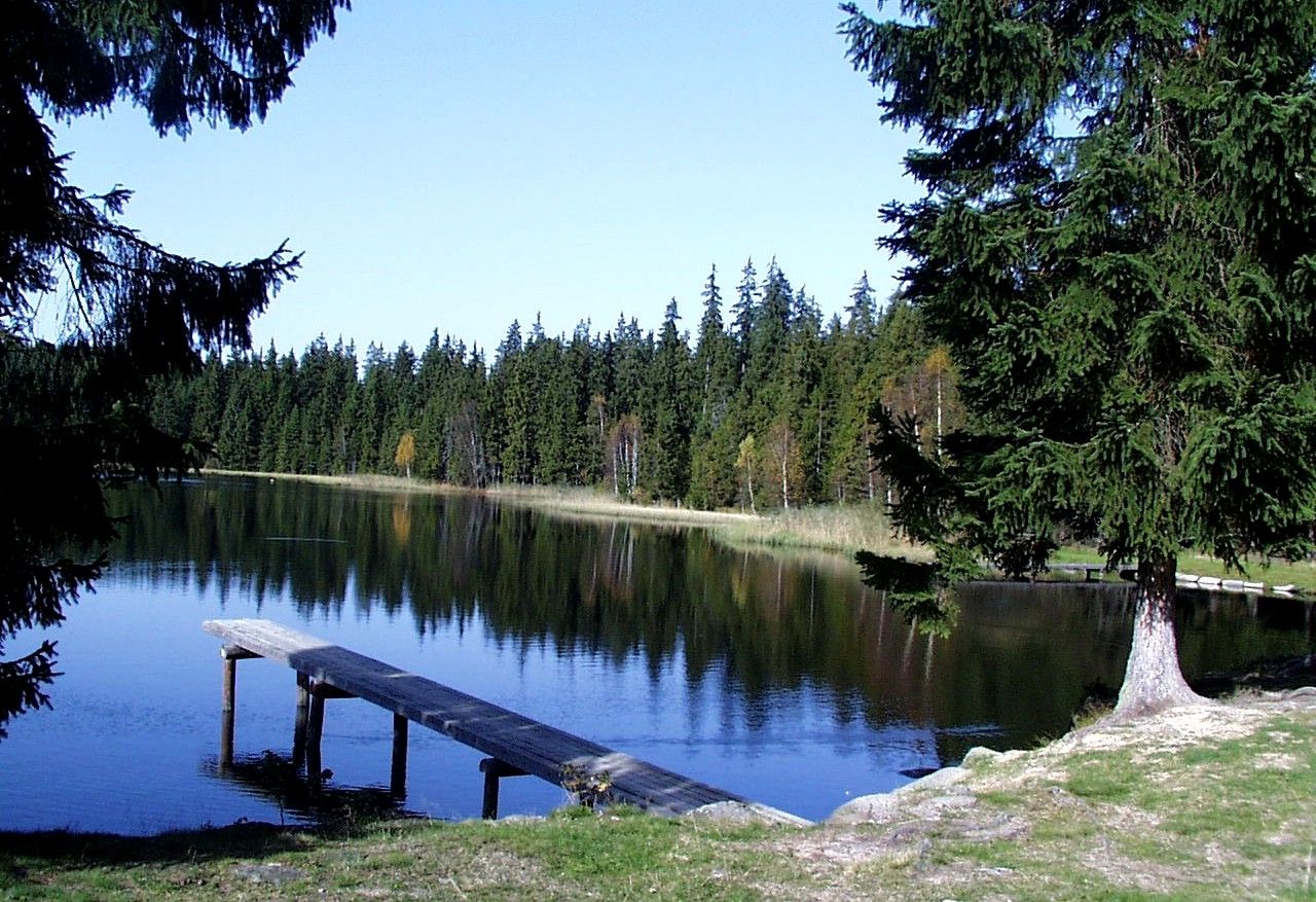 Pokojné jazero v prírodnom parku Nordwald s drevenou lávkou a obklopené hustými ihličnanmi.