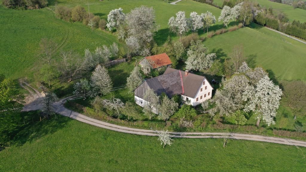 Letecký pohľad na farmu obklopenú kvitnúcimi stromami a zelenými lúkami.