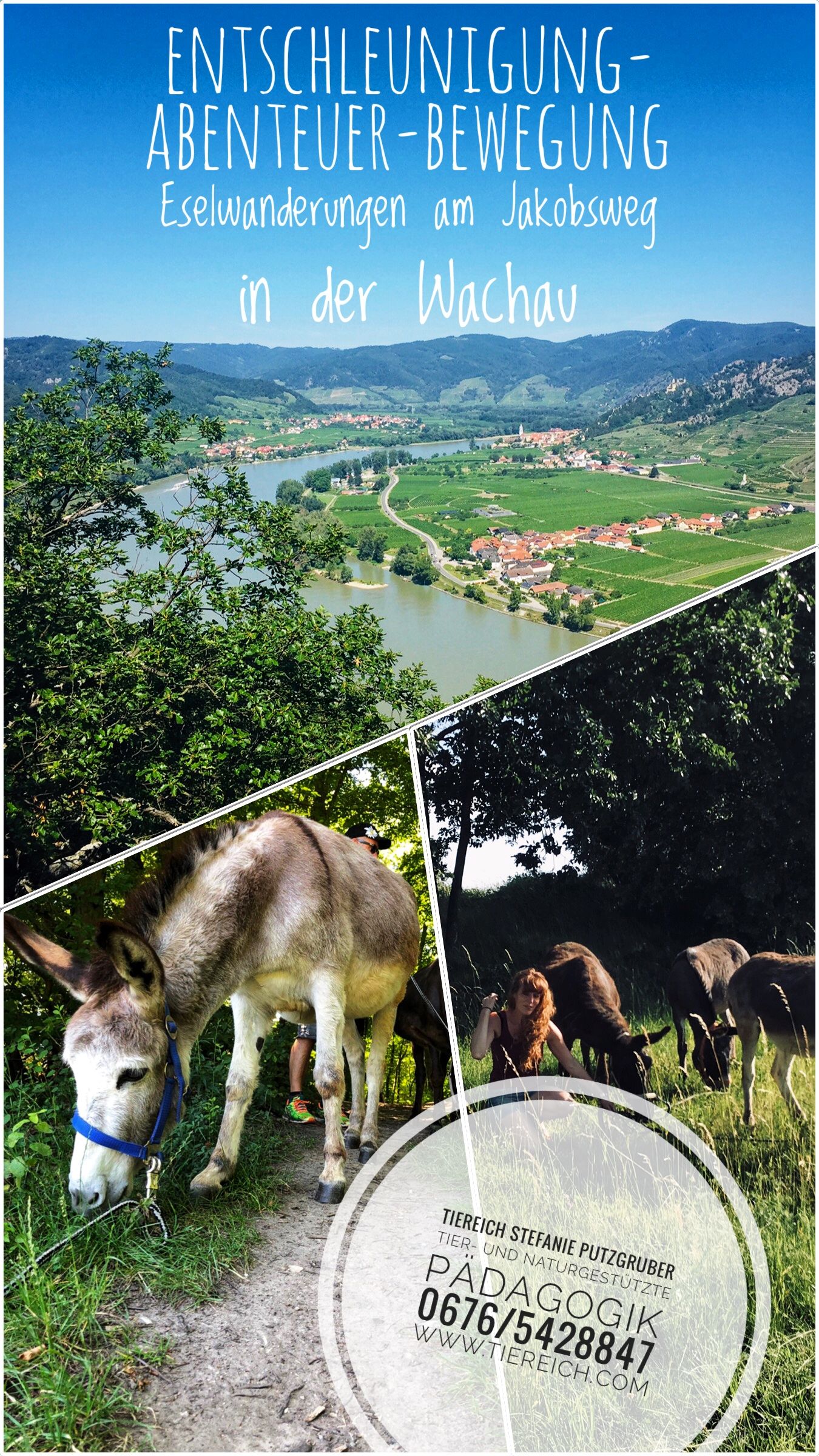 Výlet na oslíka Flyer