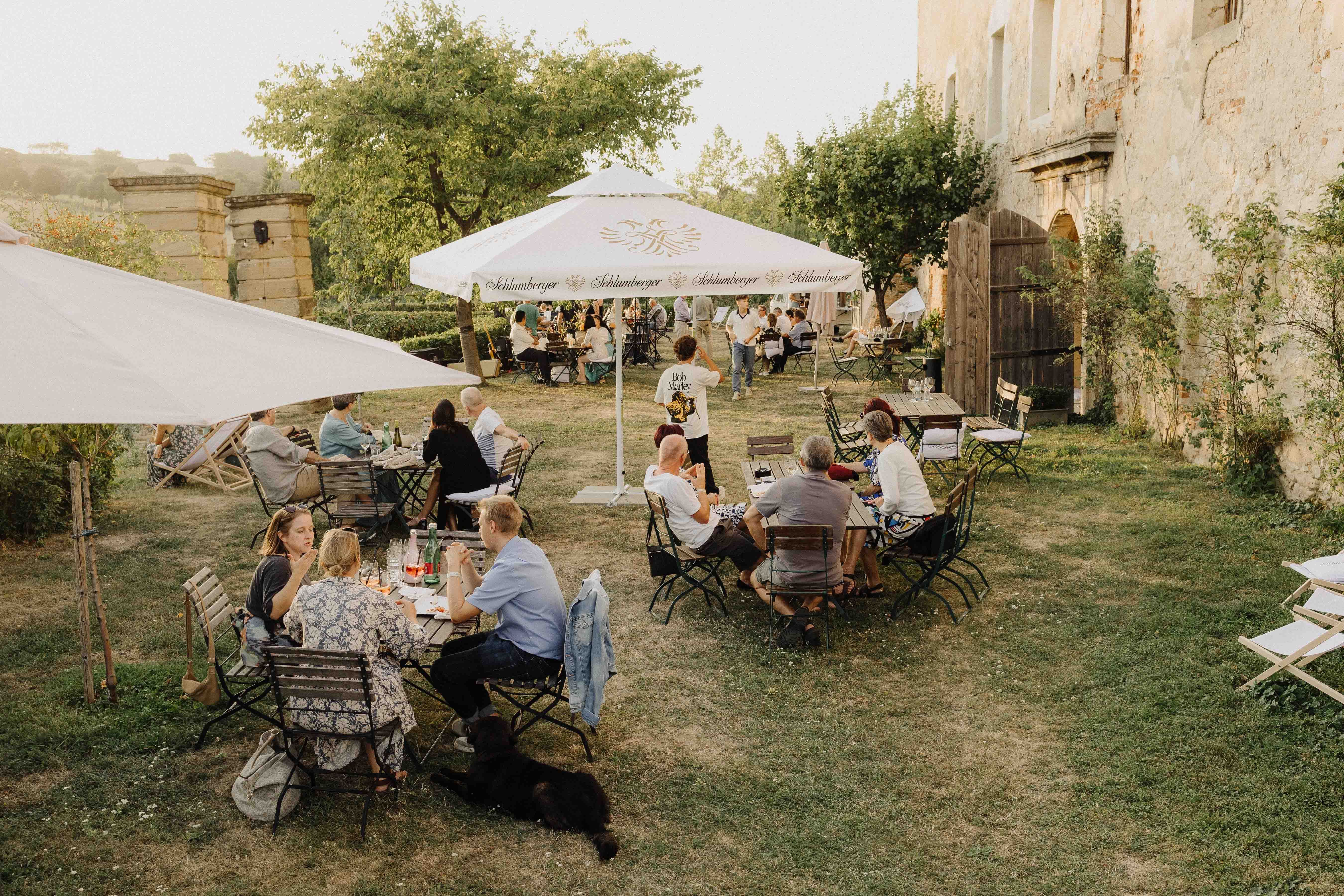 Ľudia sedia pri vonkajších stoloch v záhrade so slnečníkmi.