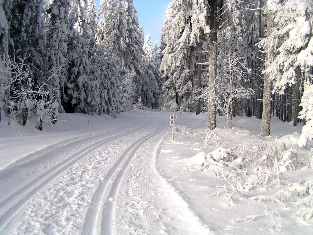 Bežkovanie v Ottenschlagu © Gemeinde Ottenschlag