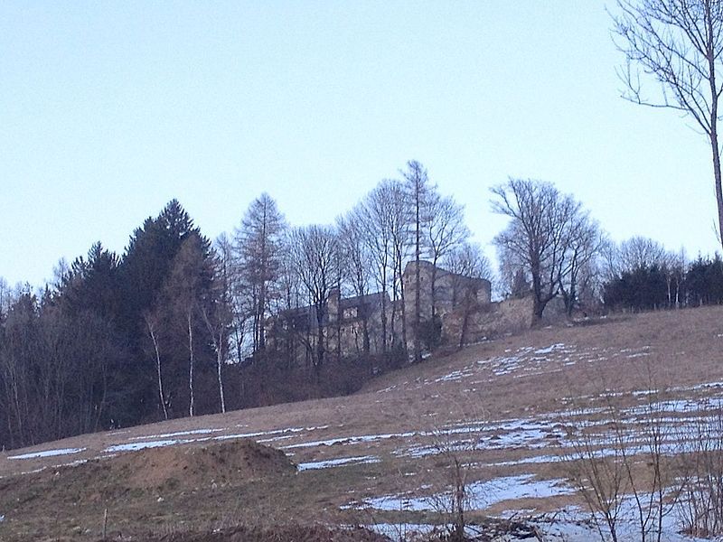 Zrúcanina hradu Thomasberg na kopci obklopenom stromami.