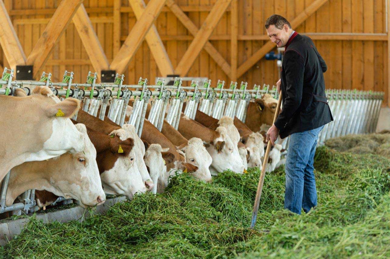 Ekologická farma Hammerschmidt