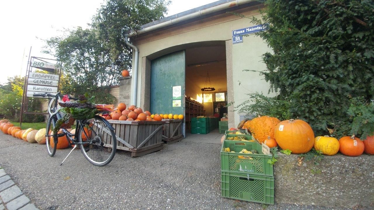 Vstup na ekologickú farmu s tekvicami a bicyklom.