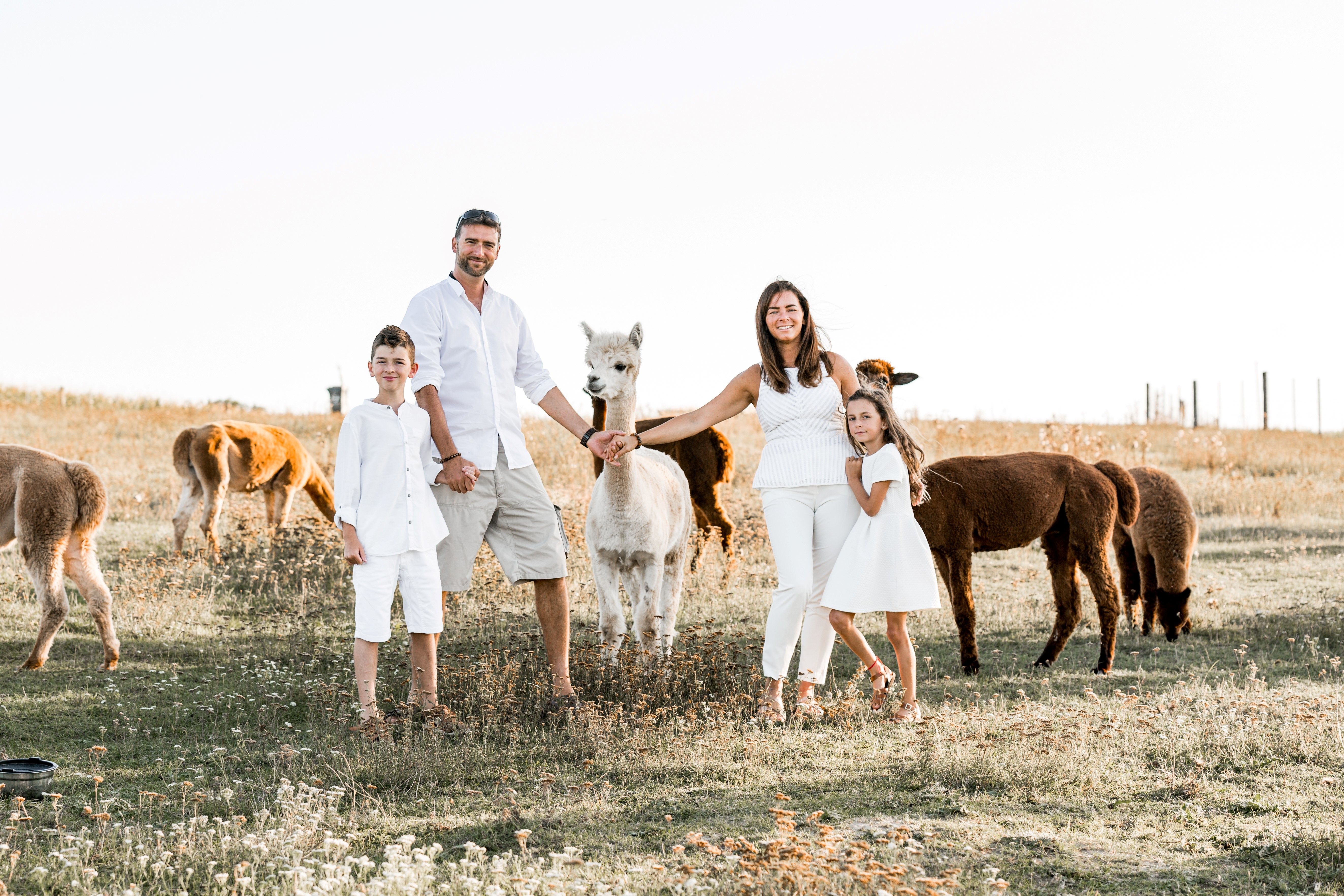 Rodina v bielom oblečení stojí na lúke s alpakami.