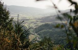 Die sanften Hügel des Yspertals laden zu unvergesslichen Wanderungen ein, während die bunten Blätter der Bäume im sanften Wind rascheln. Hier, wo die Natur in voller Pracht erblüht, können Wanderer die Ruhe und Schönheit der Landschaft genießen und sich von der frischen Luft beleben lassen.