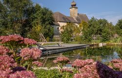 Spálňa s klenutým stropom, drevenou podlahou, posteľou, kreslom, komodou a kožušinovým kobercom.