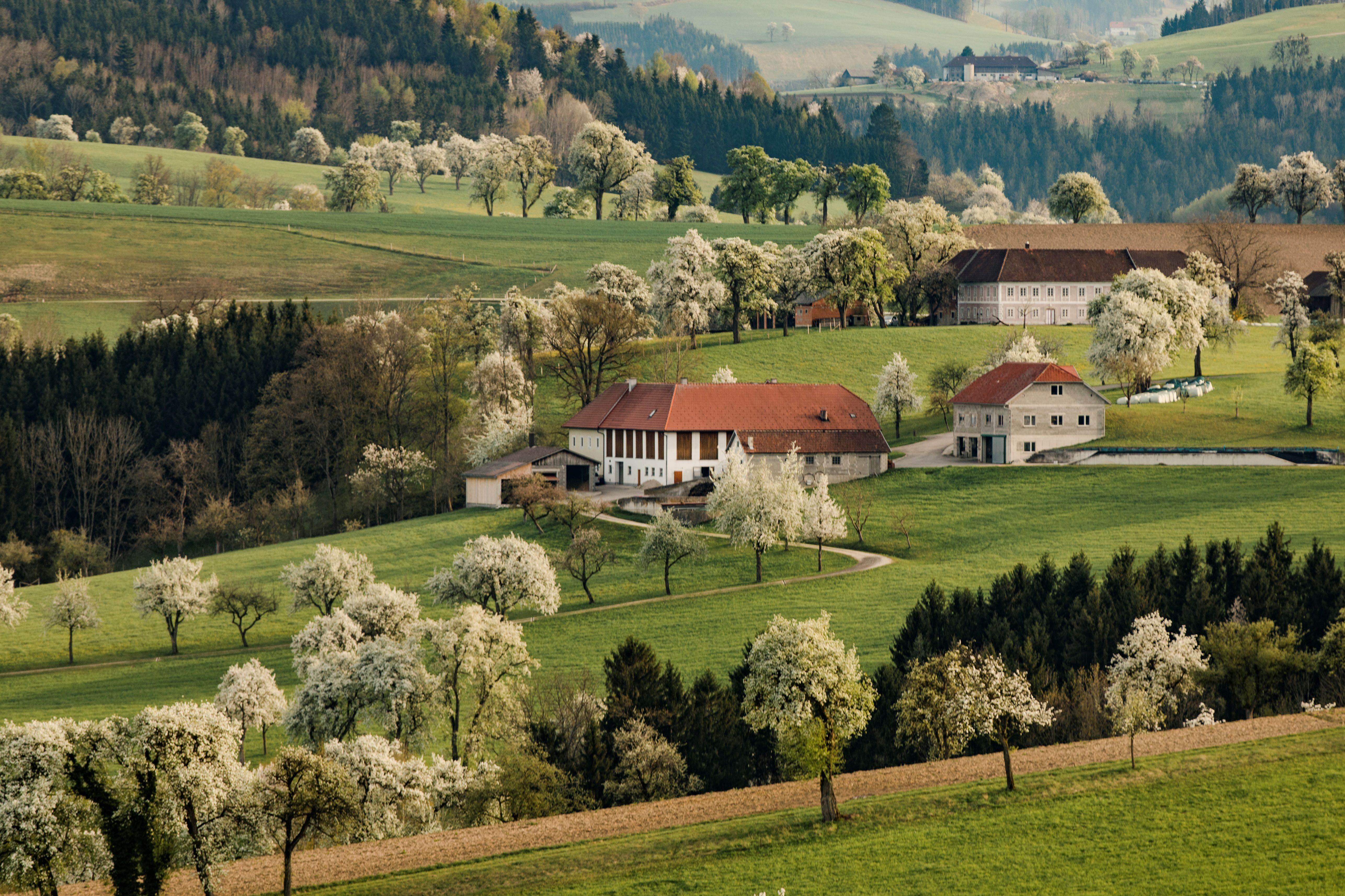 Karl-Lammerhuber-Blick-Weg