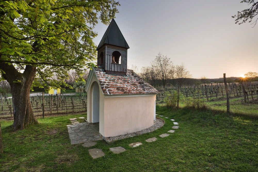 Retzbachova vodcovská cesta cez hranicu