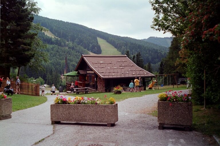 Horská chata v zelenej zalesnenej krajine s kvetmi v popredí.
