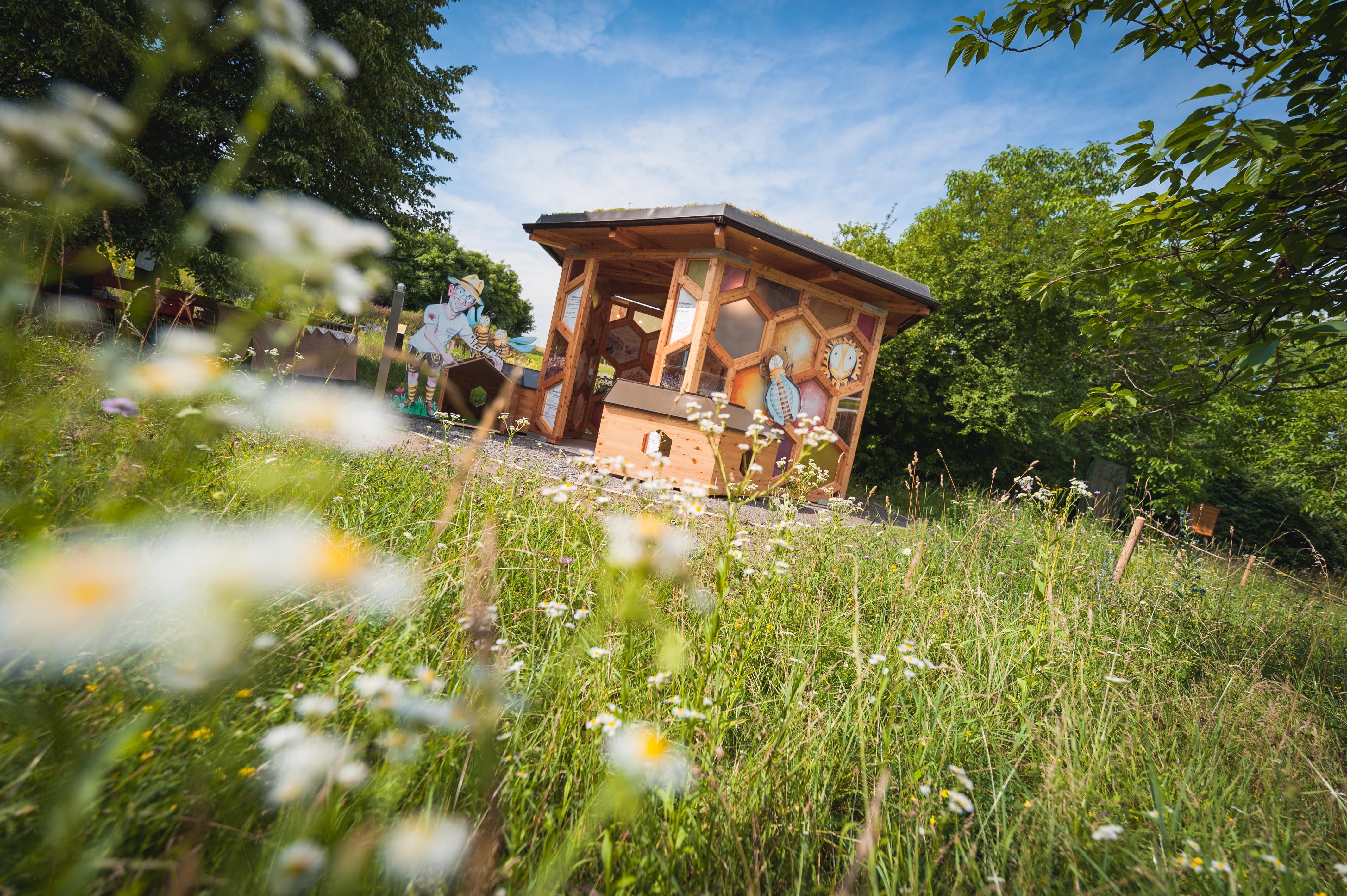 Drevený pavilón pre včely stojí na rozkvitnutej lúke, obklopený stromami a modrou oblohou.