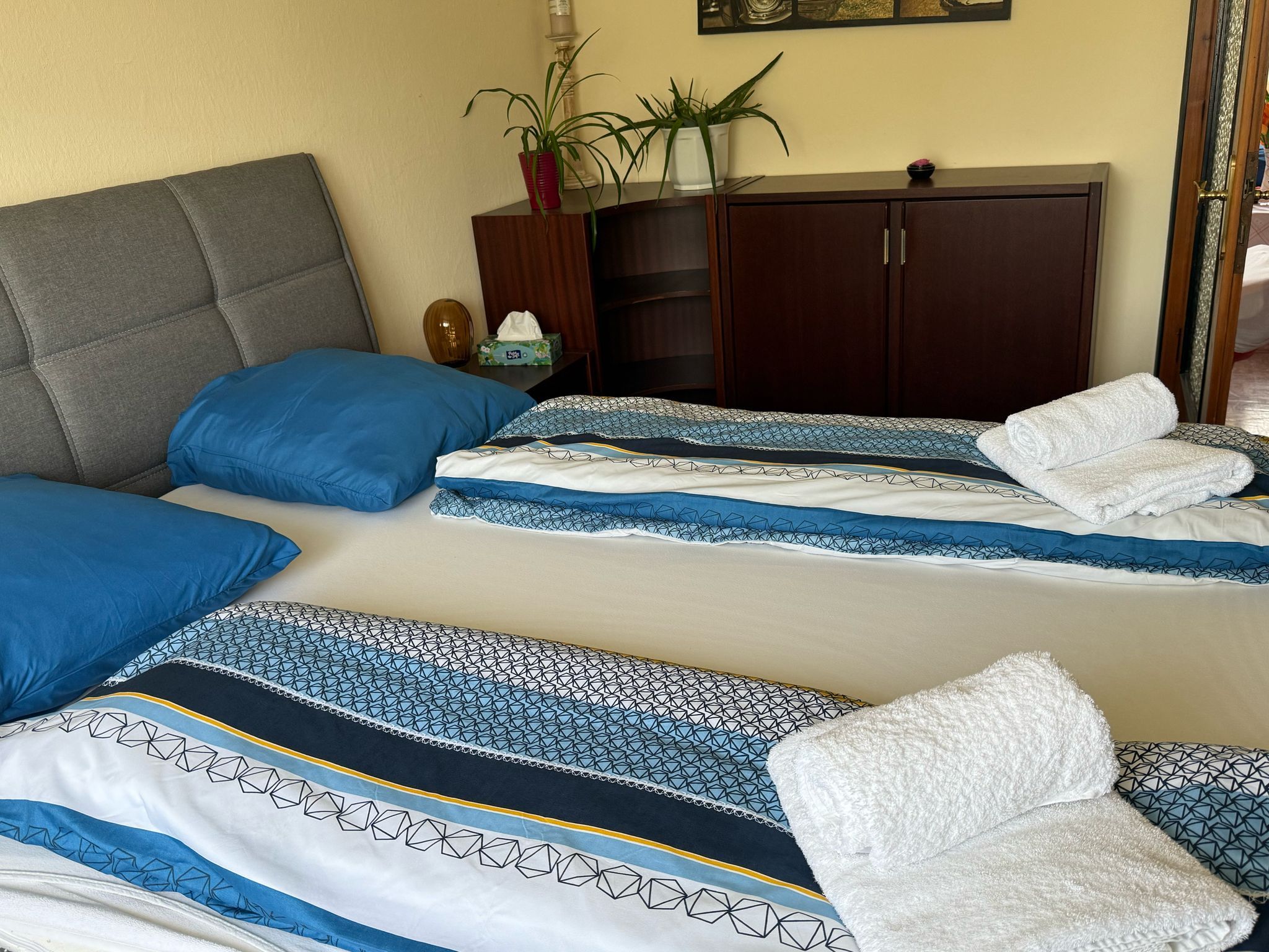 Útulná spálňa s manželskou posteľou, modrou posteľnou bielizňou a zloženými uterákmi. Šatníková skriňa s rastlinami v pozadí.