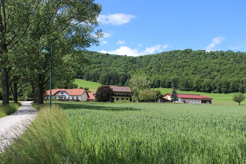 Naša farma
