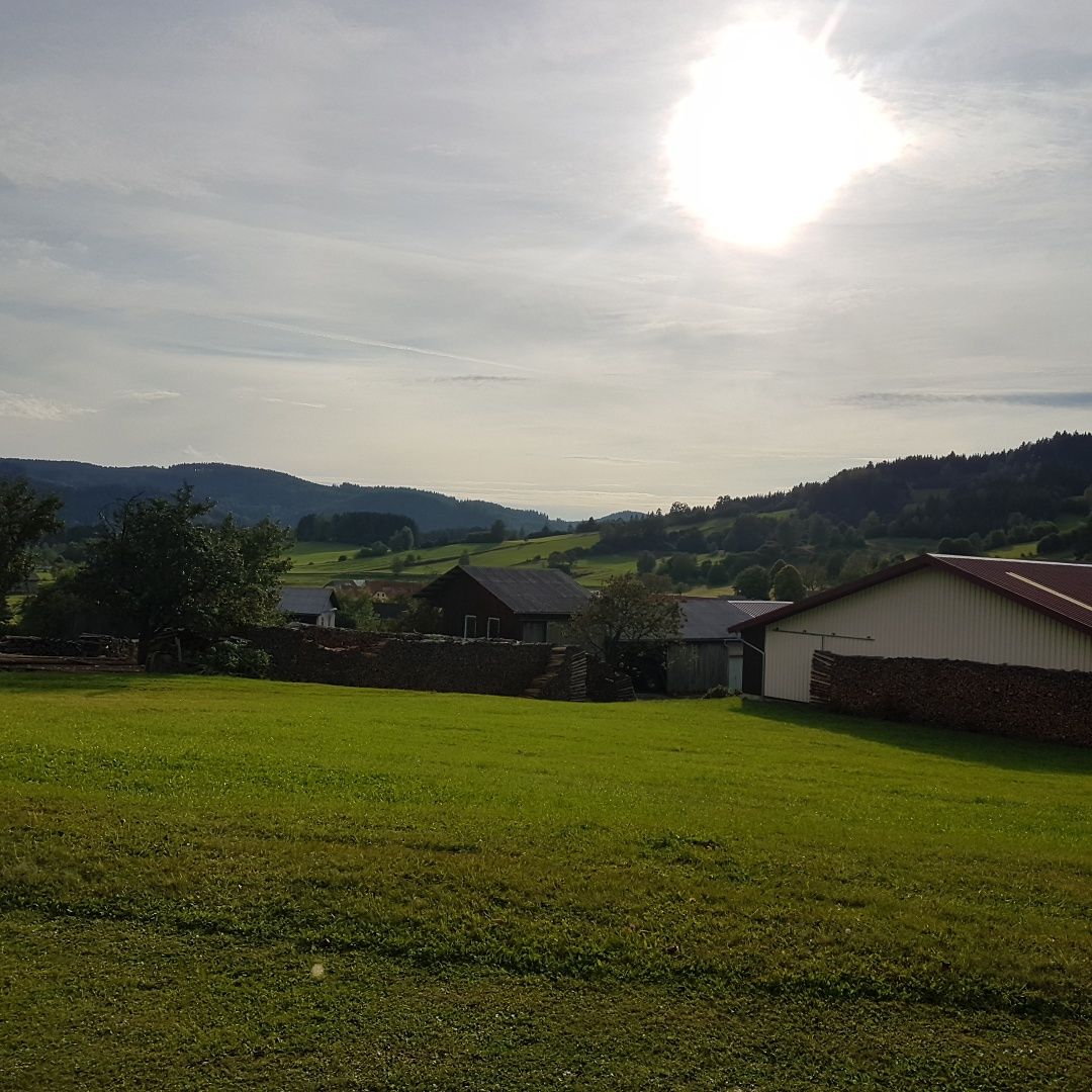 Dedinská cesta