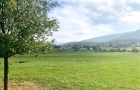 Pastviny v Oberbergern, &copy; Radler-Rast