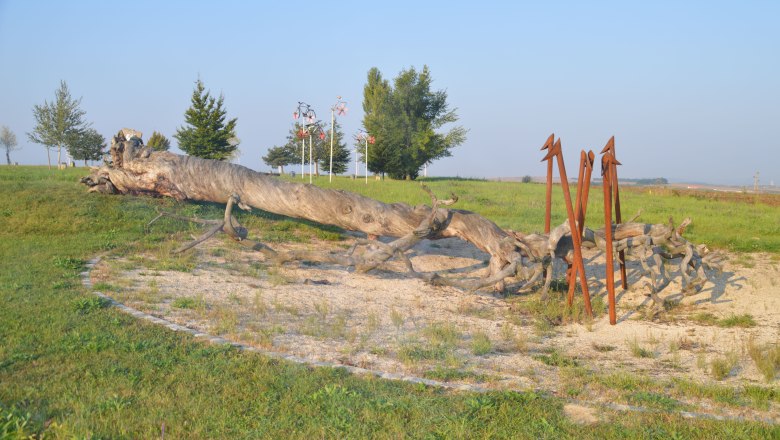 Veltlinerland tree circle, &copy; StadtGemeinde Mistelbach / Mag. Mark Sch&ouml;nmann