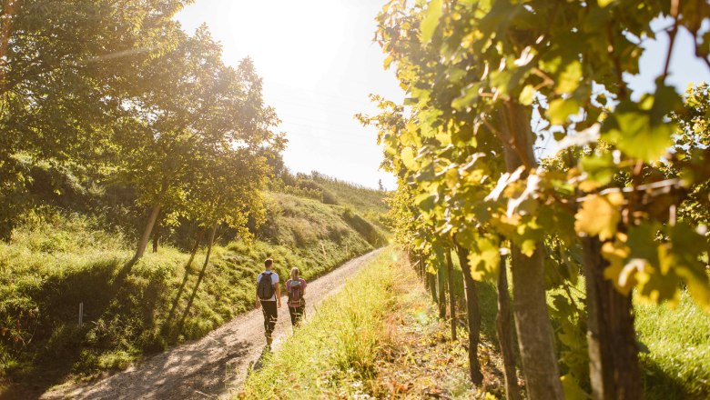 Celodenná turistika Kremstal, Krustetten, © Donau Niederösterreich/schwarz-koenig.at