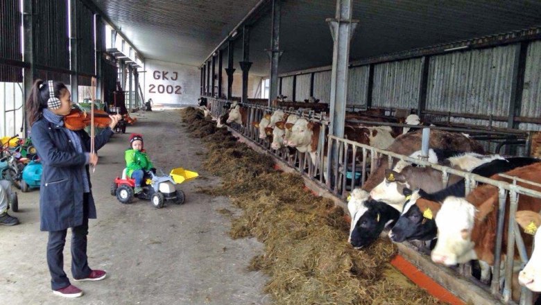 kerndlerhof_stables, &copy; Kerndlerhof