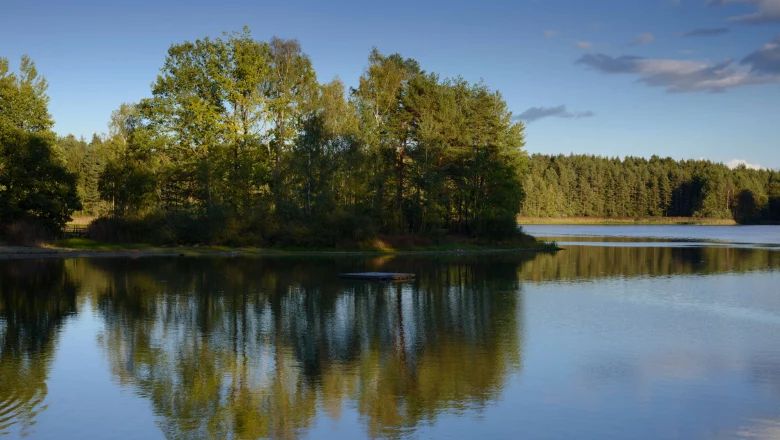 Pokojný rybník so stromami odrážajúcimi sa vo vode v pozadí.