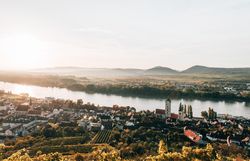 Die sanften Hügel und die glitzernde Donau schaffen eine malerische Kulisse, die zum Verweilen einlädt. Die Weinreben, die sich an den Hängen entlangziehen, versprechen genussvolle Erlebnisse und laden dazu ein, die regionale Weinkultur zu entdecken.