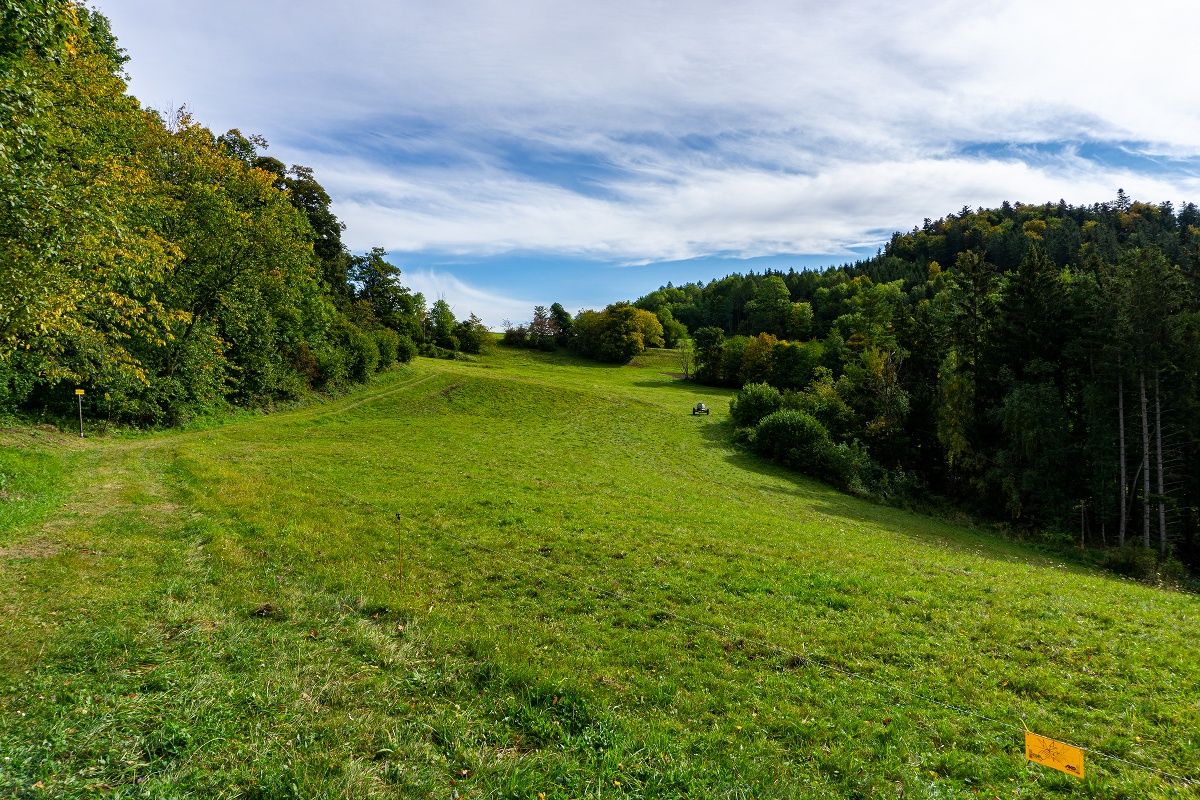 Traunfellnerova ulica