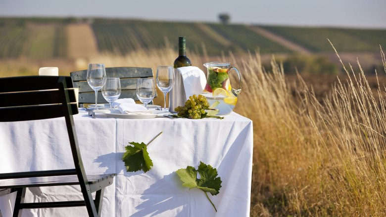 Víno a gurmánstvo vo Weinviertel, © Weinviertel Tourismus/ Lammerhuber