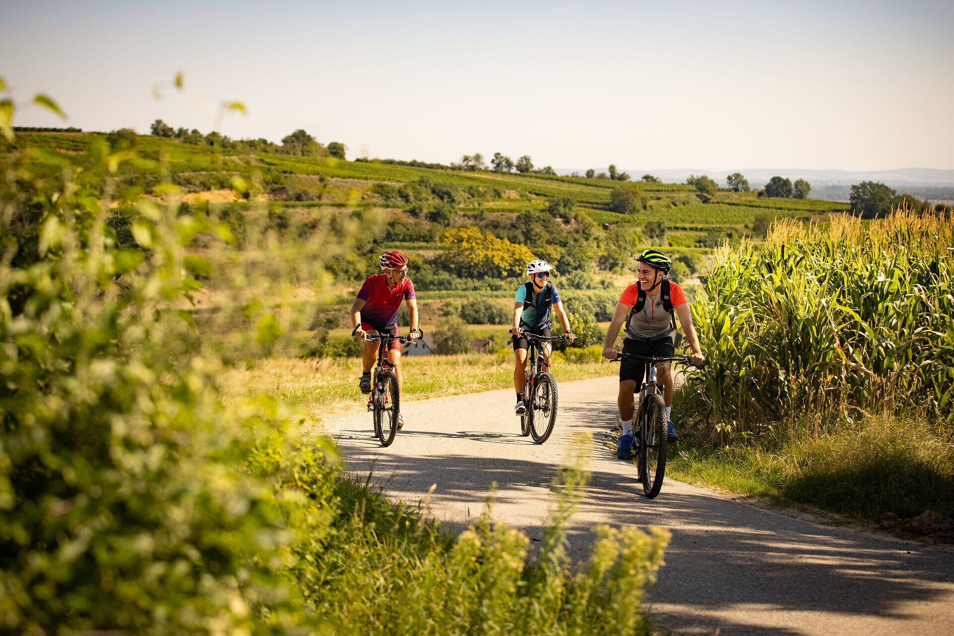 Mierne kopce vinárskej oblasti lákajú na osviežujúcu túru na horskom bicykli. Cyklisti si vychutnávajú úchvatný výhľad na vinice a idylickú krajinu, pričom na vlastnej koži cítia čerstvý vzduch a slnko.