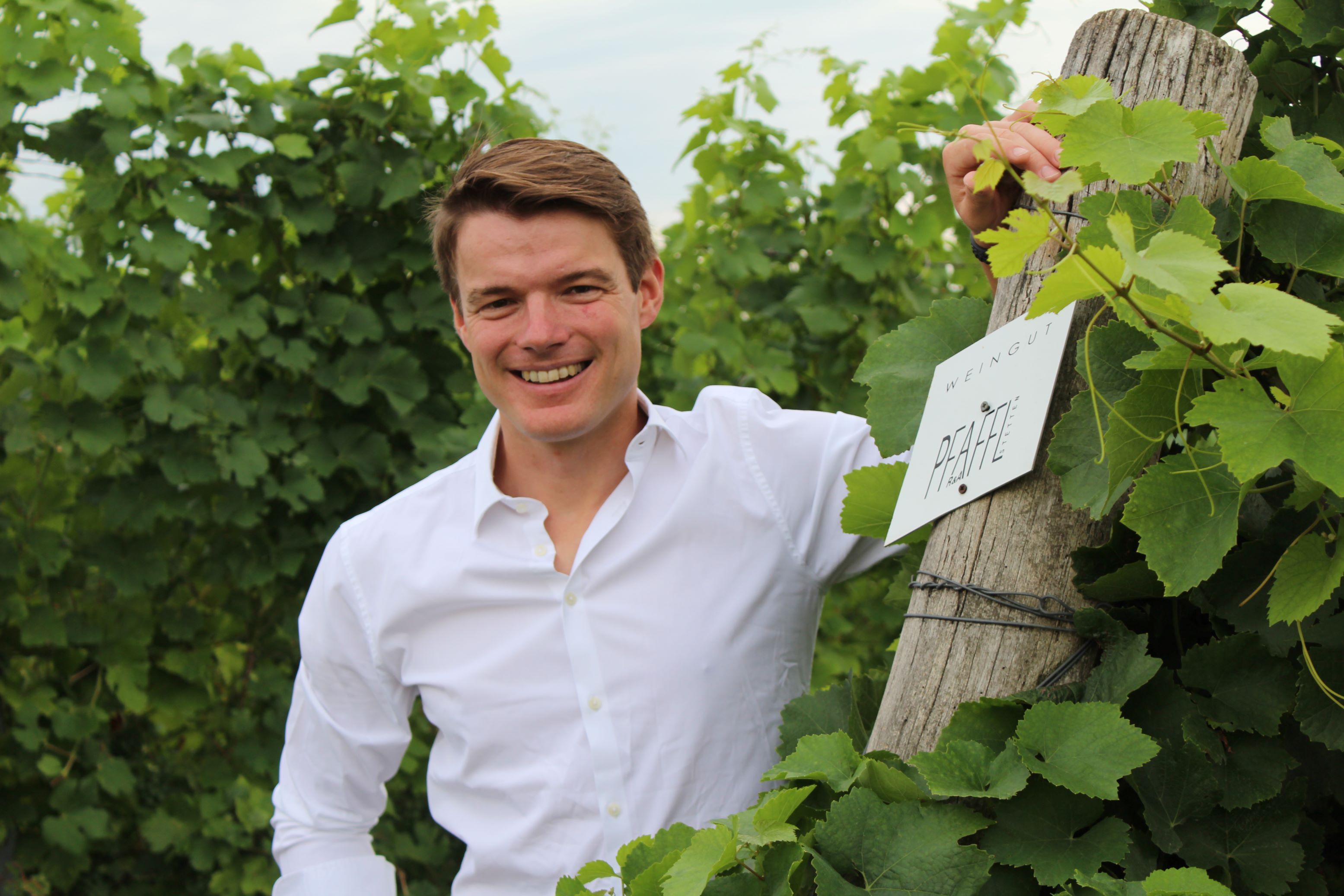 Muž vo vinici pri tabuli s nápisom "Weingut Pfaffl".