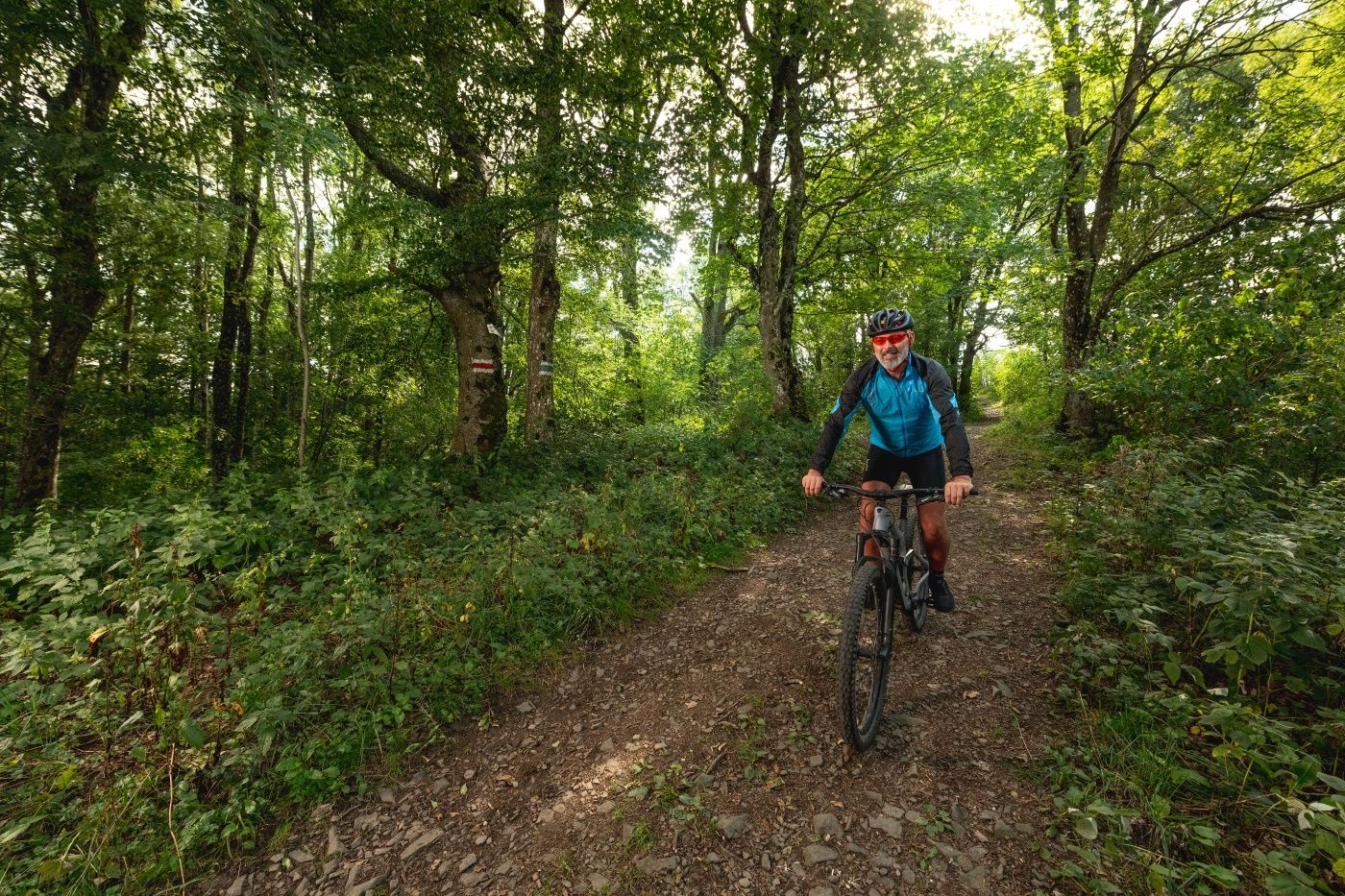 MTB Viedenský les