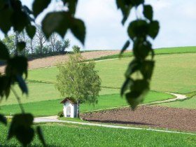 Zertbauer-Kreuz (Copyright: Karl Gradwohl), © Wiener Alpen in Niederösterreich - Bad Schönau