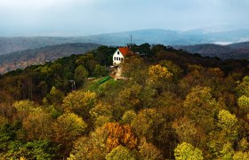 Klesheimwarte/ Rudolf-Proksch-Hütte, © Unknown