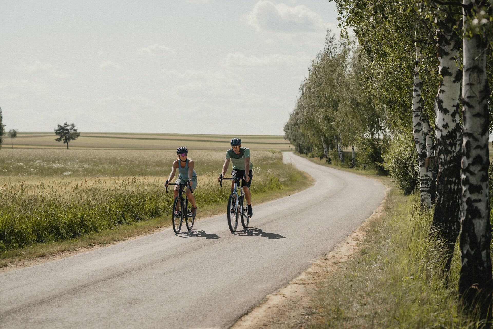 Dvaja cyklisti idú v lete po ceste, na jednej strane majú vedľa seba alej stromov a na druhej strane rozkvitnuté polia