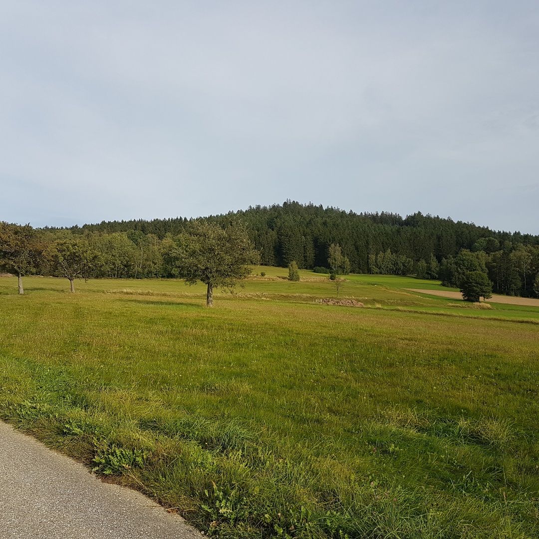 Dedinská cesta
