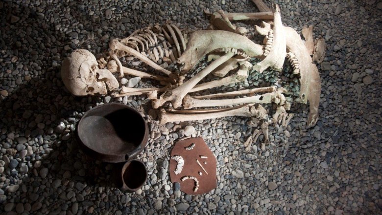 Female burial from Franzhausen II exhibited in the Nussdorf Museum, &copy; Jakob Maurer
