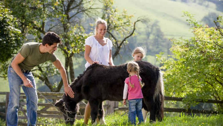 Dovolenka na farme, © Karin Lohberger