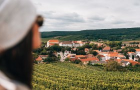 Pohľad smerom na Mailberg, Weinviertel, © Niederösterreich Werbung/Romeo Felsenreich