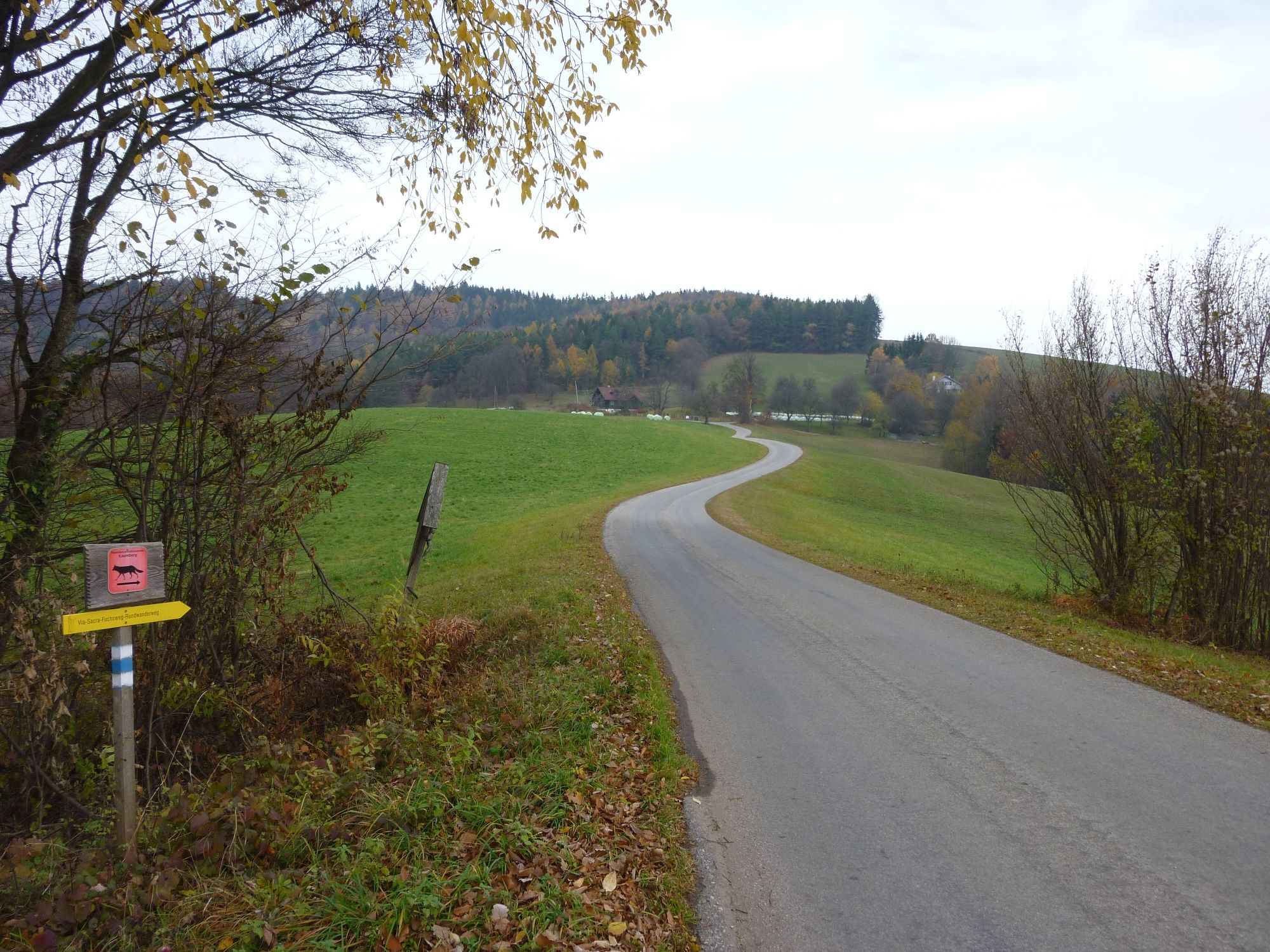 Smer Stadlmann