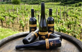 Gramer family winery, &copy; fotostudio-wurst.at