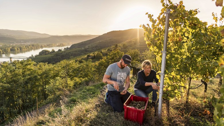 Wachau, © Niederösterreich-Werbung/Robert Herbst