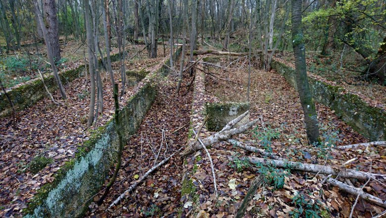 Foundation walls of barracks at the STALAG XVII B camp, © Edith Blaschitz