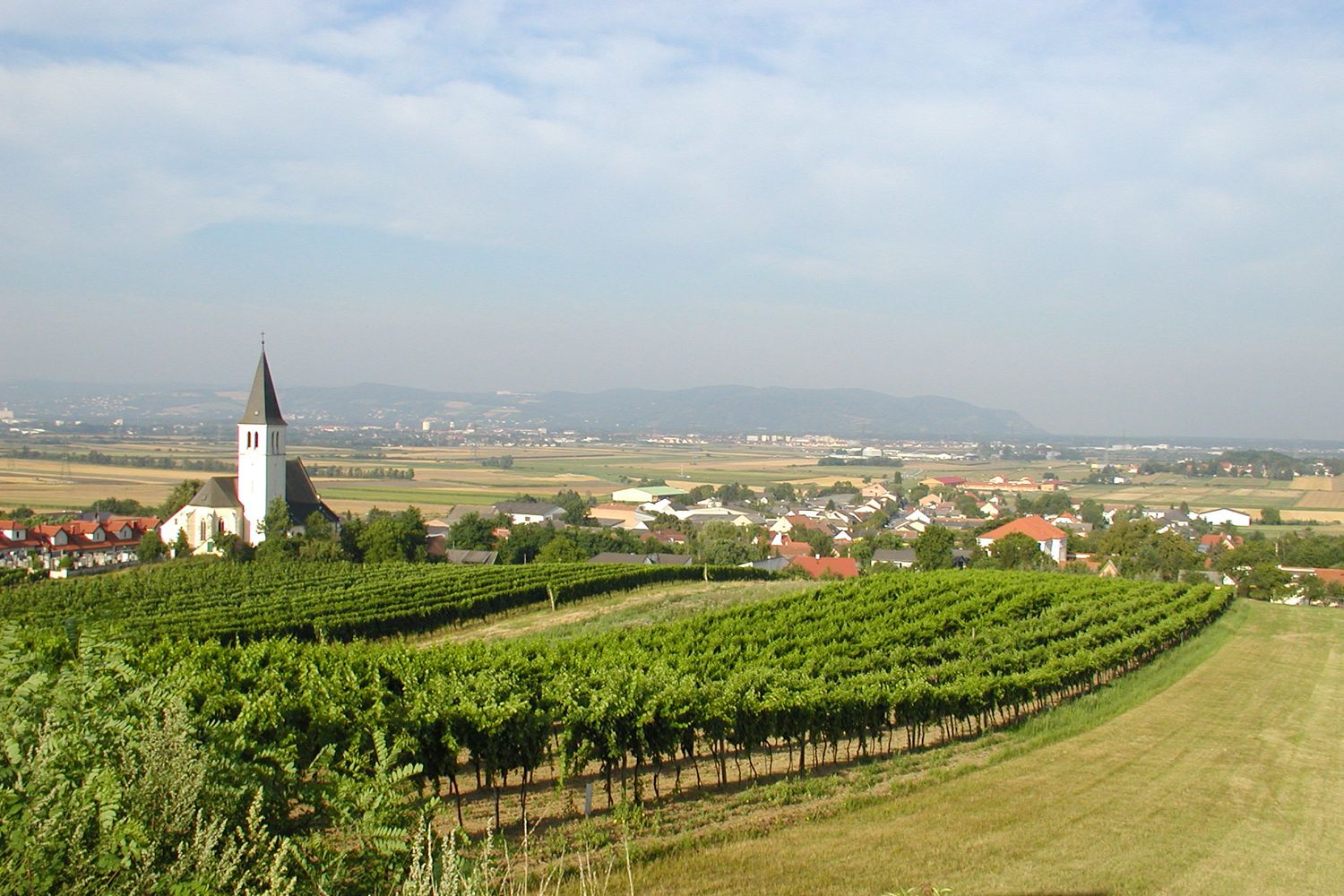 Pohľad na Stetten s kostolom a vinicami v popredí.