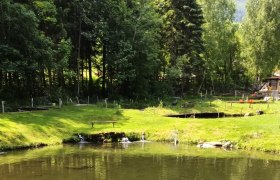 Tich&yacute; rybn&iacute;k s okolit&yacute;m lesom a l&uacute;kou.