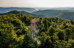 Die Aussichtswarte Seekopf von Wäldern umgeben.