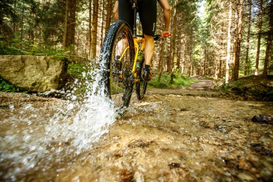 Kto sa napije, jazdu si užije!, © Waldviertel Tourismus/Erwin Haiden