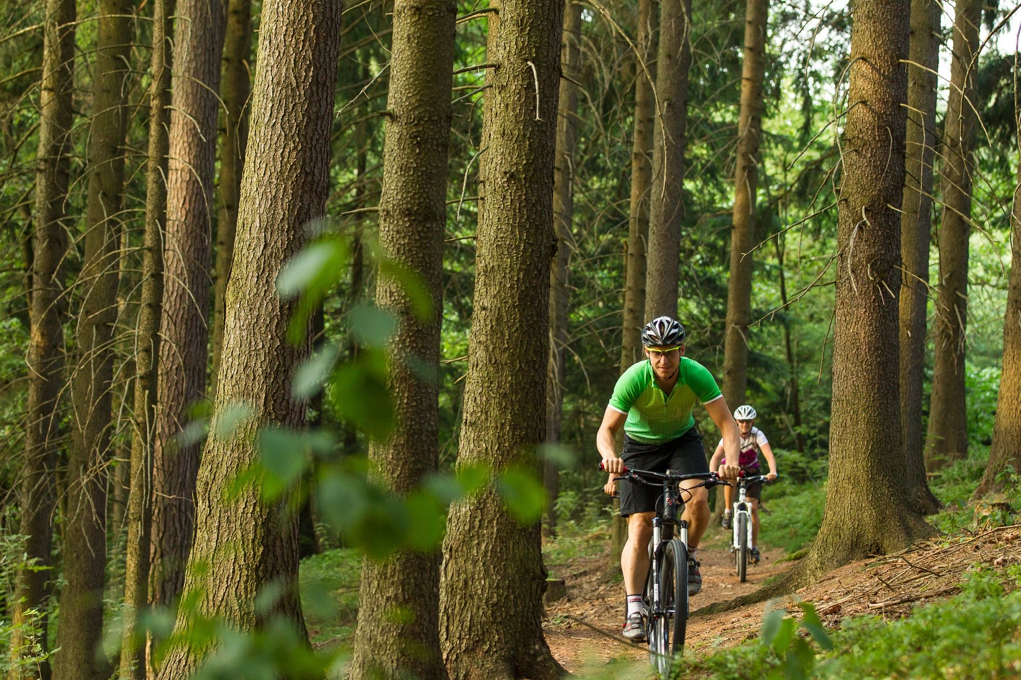 Horská cyklistika Waldviertel
